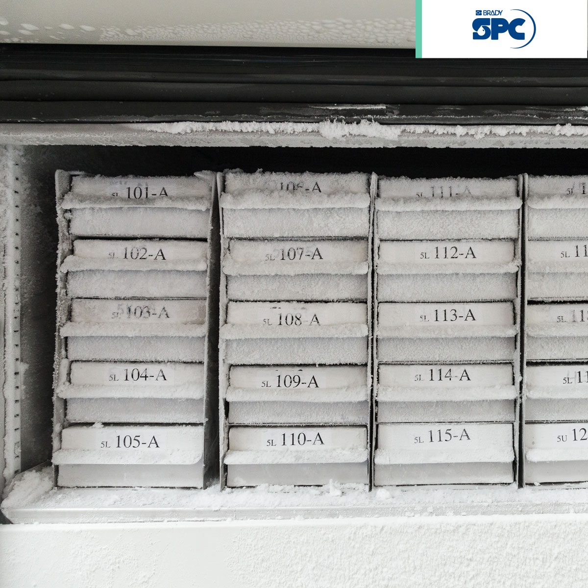 etiquetas nailon multiusos negra sobre blanco m21 0 5 pulgadas brady spc 003